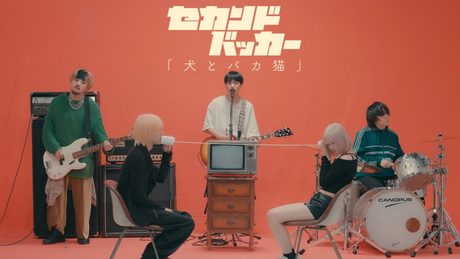 セカンドバッカー「犬とバカ猫」Official Music Video