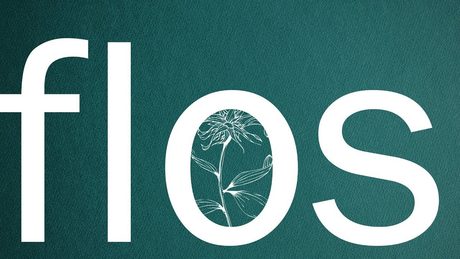 flos/R(self-cover)