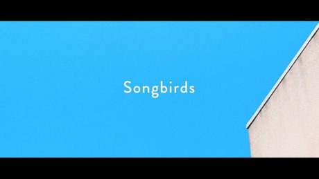 Homecomings - Songbirds（Official Music Video）