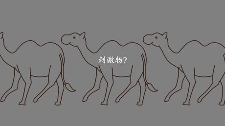 ズィー