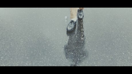 バイバイ / claquepot