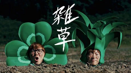 雑草 / ヒカキン&セイキン