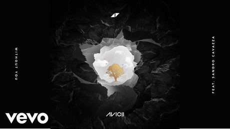 Avicii, Sandra Cavazza - Without You