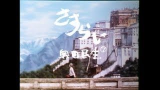 奥田民生「さすらい」OFFICIAL MUSIC VIDEO