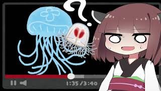 . (クラゲ)【AIきりたん】【NEUTRINOカバー】