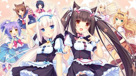 ネコぱら Vol.1 　ソレイユ開店しました！　 オープニングムービー