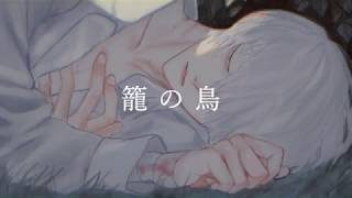 籠の鳥 - BIN(Official Video)