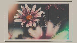 優里 『シャッター』Lyric Music Video(1コーラスver.)
