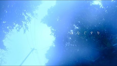 はなぐすり / 可不