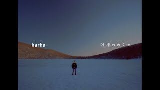 harha - 神様のねぐせ(Music Video)