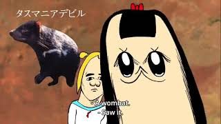 【ボブネミミッミ】動物園【オーストラリア】
