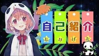 【自己紹介】はじめまして。笹木咲やよ～！【よろしく】
