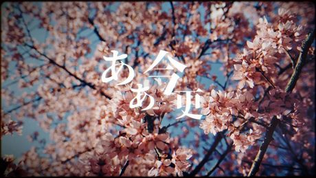 Guiano - 花 [MV]