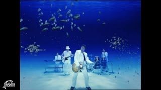 サザンオールスターズ - 涙の海で抱かれたい～SEA OF LOVE～ [Official Music Video] Short ver.