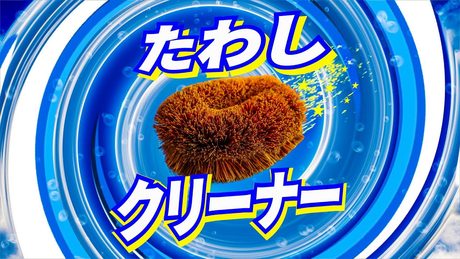 ATOLS - たわしクリーナー feat. 初音ミク