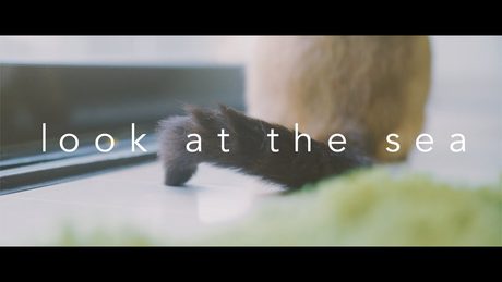 おいしくるメロンパン「look at the sea」Music Video