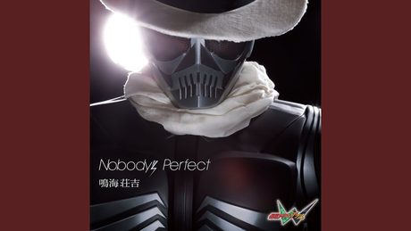 Nobody’s Perfect