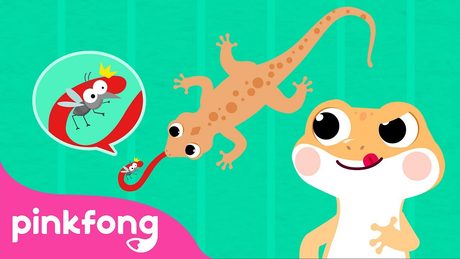 Cicak cicak di dinding | Lagu Anak Indonesia | Pinkfong Baby Shark - サムネイル