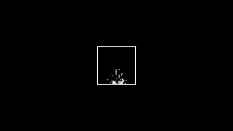 ‌