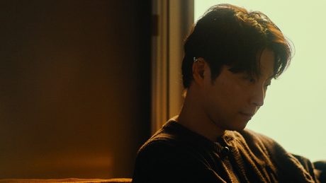 星野源 - Why / 光の跡 (Official Video)