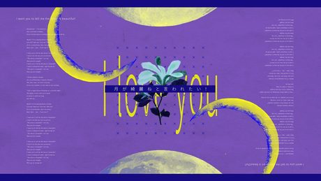 柿崎ユウタ - 月が綺麗ねと言われたい! / yuta kakizaki - I Want You to Tell Me the Moon is Beautiful!