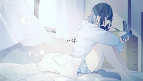 正体(syoutai)/花たん(HaNaTaN)