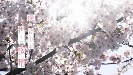 優里 『桜晴』Lyric Music Video(1コーラスver.)