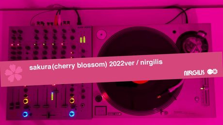 ニルギリス sakura (cherry blossom)2022ver.