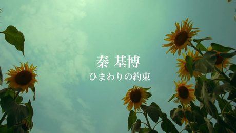 秦 基博 / ひまわりの約束(Short Ver.)