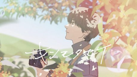 キンモクセイ / もさを。【Music Video】