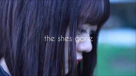the shes gone「ラブストーリー」Music Video