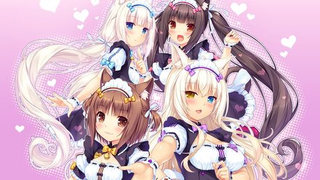 ネコぱらVol.2 姉妹ネコのシュクレ オープニングムービー