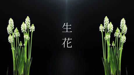 ATOLS - 生花 feat. YURiCa/花たん