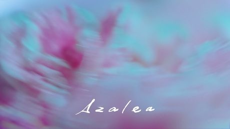 米津玄師 Kenshi Yonezu - Azalea