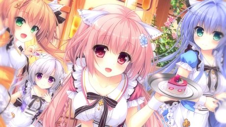 『枯れない世界と終わる花』プロモーションムービー
