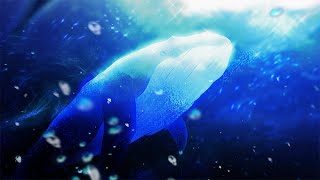 「アインシュタインより愛を込めて」2nd OPムービー