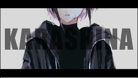 karashina ver.EMA