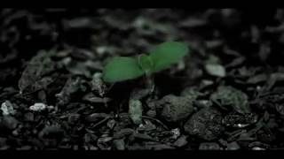 【PV】 藍坊主 『伝言』