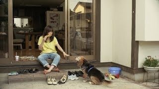 星野源 – 季節 (Official Video)