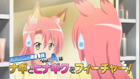 [ハヤテのごとく！]連載10周年記念 新作OVA発売!!
