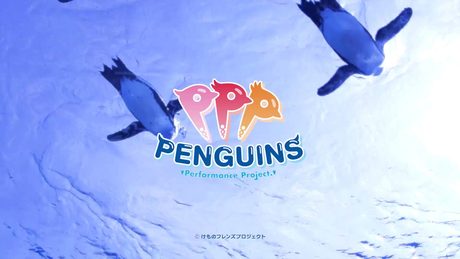 「大空ドリーマー / PPP」MUSIC VIDEO(けものフレンズ)