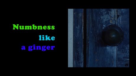 UNISON SQUARE GARDEN「Numbness like a ginger」MV
