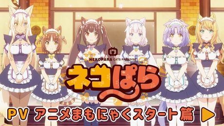 ネコぱら PV ”アニメまもにゃくスタート篇”
