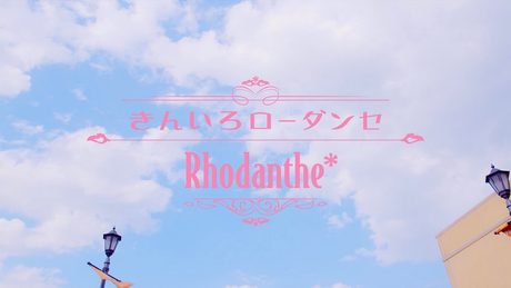 Rhodanthe* 「きんいろローダンセ」 Music Video(1chorus ver.)