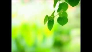 合唱曲 「未来への賛歌」