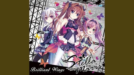 Brilliant Wings