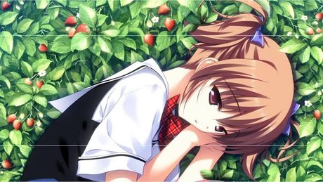 【OP】歌:飛蘭(Faylan)『グリザイアの果実』